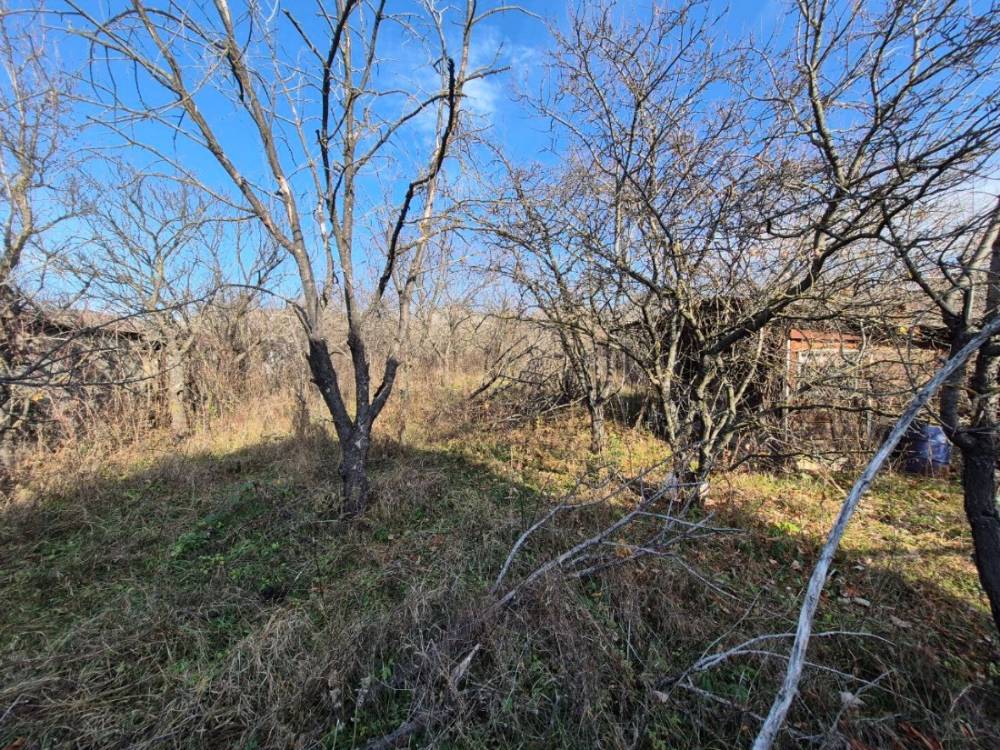 photo_5271517755763003308_y