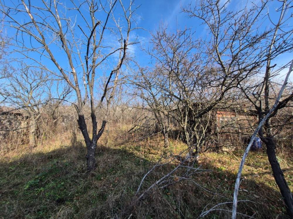 photo_5271517755763003310_y