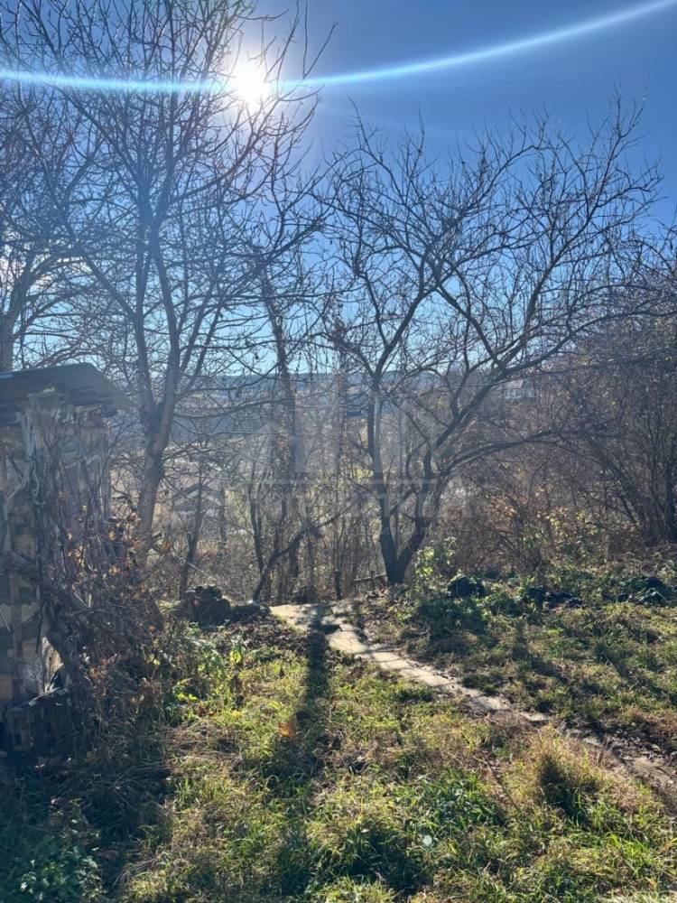 d386e9fc-3de1-41bc-8b34-cceb83579724