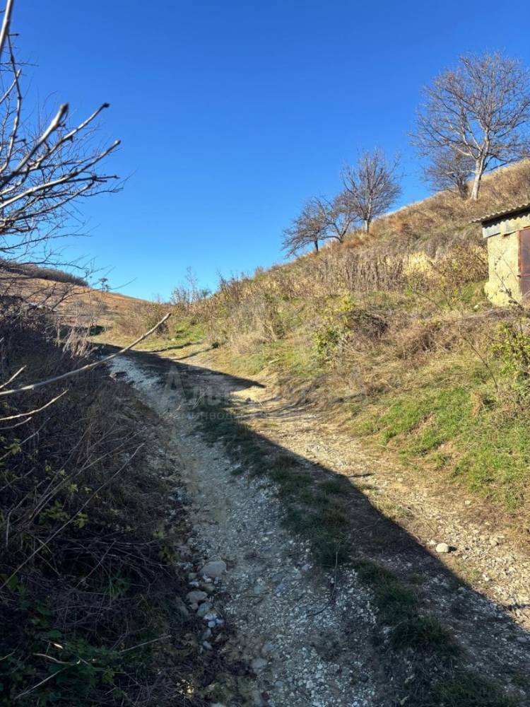 0e1a7be8-a11e-4109-9c57-bfbffdc260c8