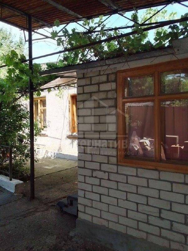 photo_5271783854756794039_x