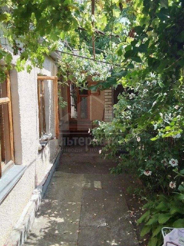 photo_5271783854756794040_x