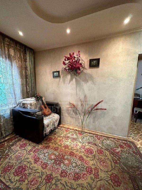 photo_5271783854756794042_x