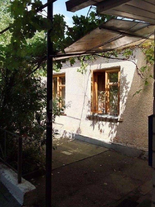 photo_5271783854756794046_x