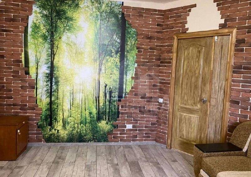 photo_5271783854756794087_x