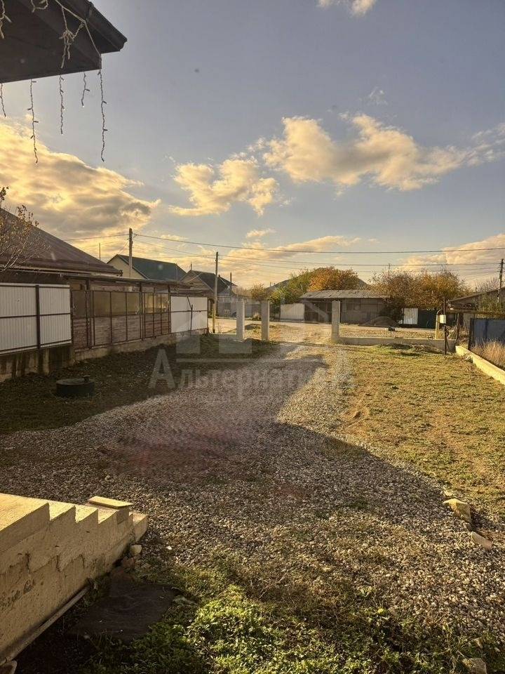 photo_5289844338265362100_y