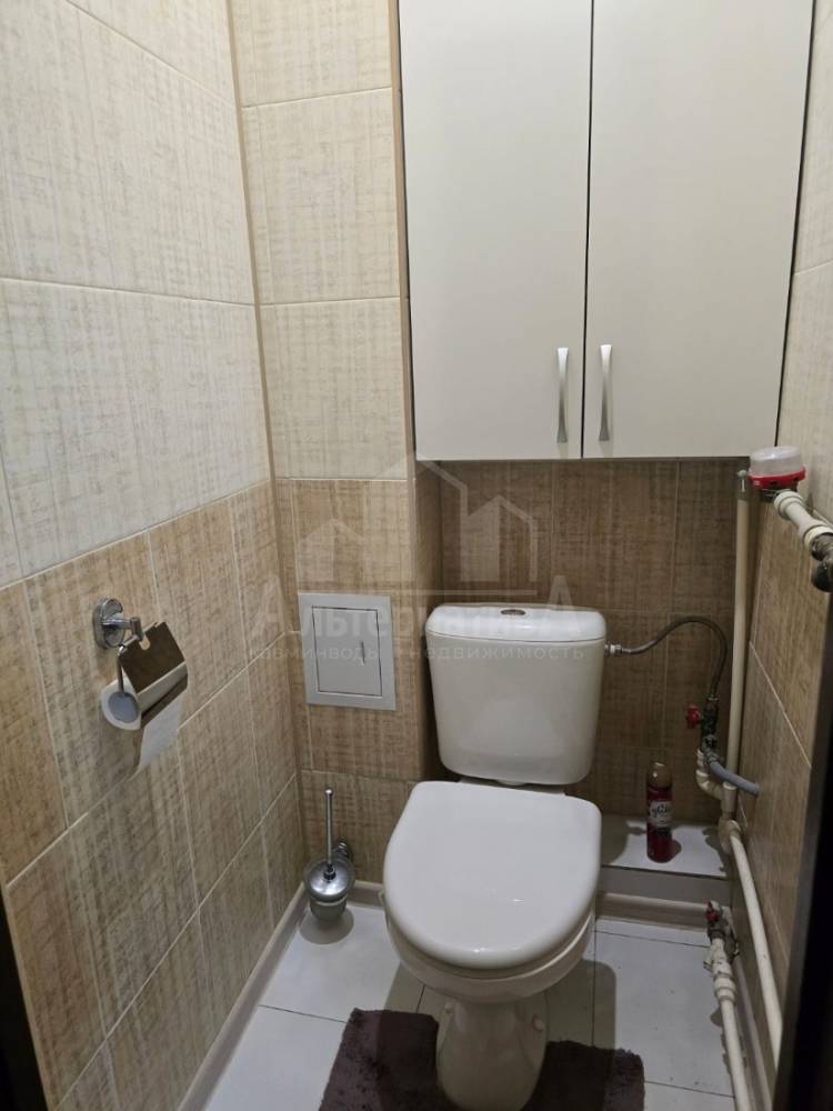 5326994c-8704-4c81-ac62-8f497f5129a8