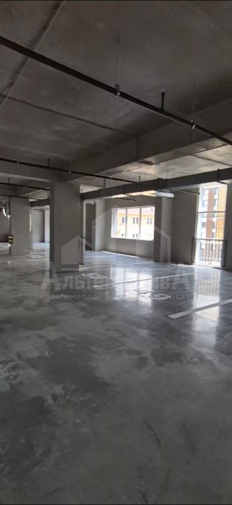 whatsapp image 2025-12-01 at 12.03.28 (1)