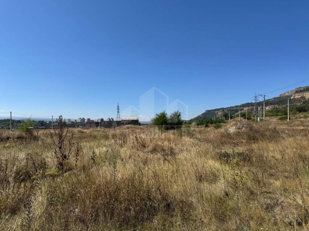 6576bae7-bd3d-4427-869f-c2429a349009