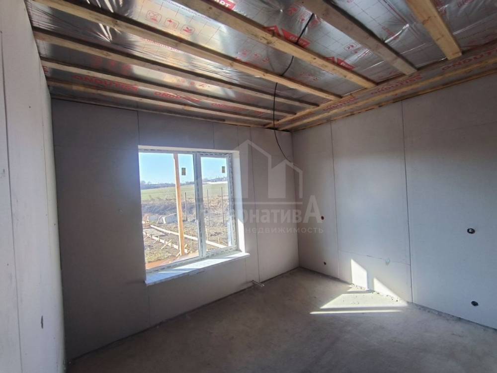 photo_5293992675377877574_y