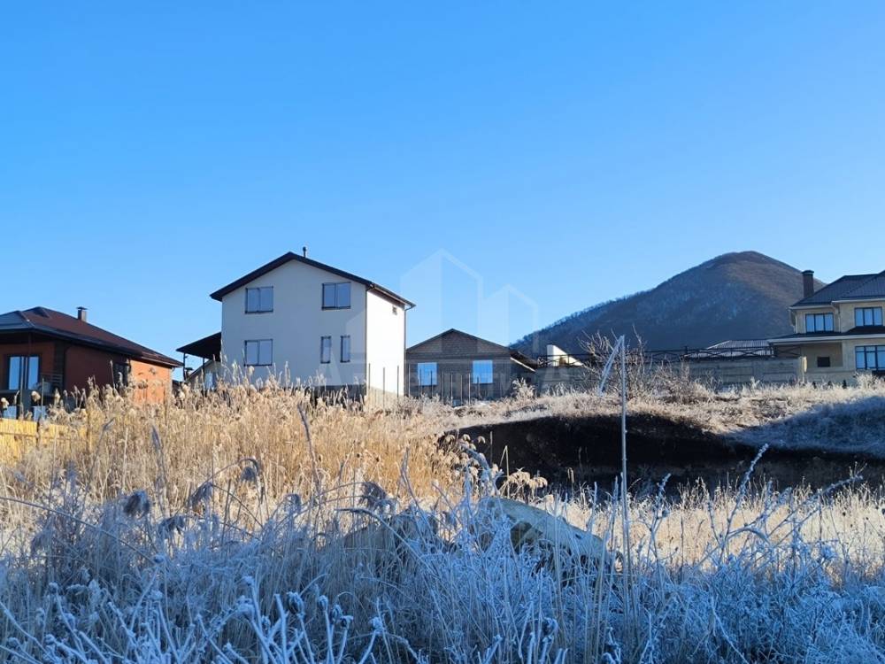 whatsapp image 2025-12-02 at 19.45.10 (1)