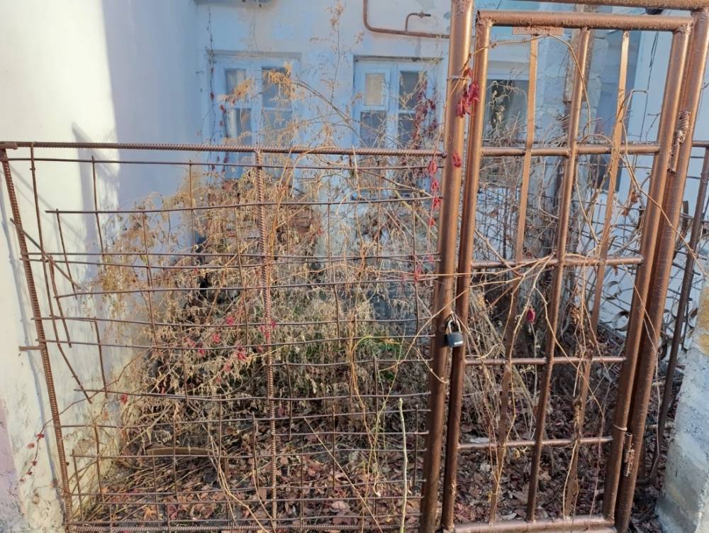 whatsapp image 2025-12-05 at 14.56.38