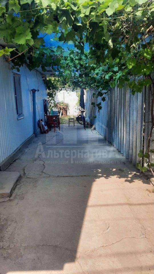 photo_5301045157706796911_y