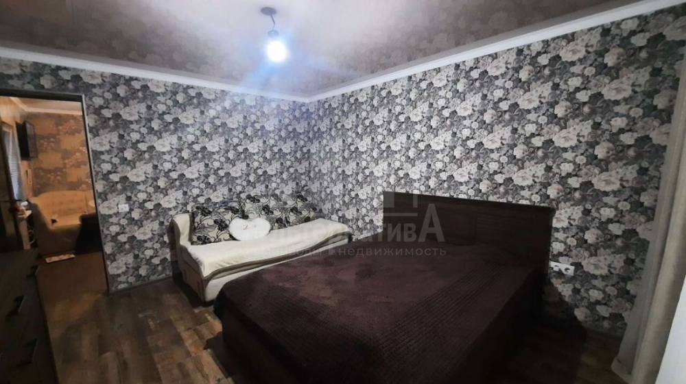 photo_5301045157706796923_y