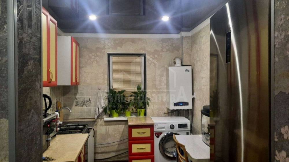 photo_5301045157706796913_y