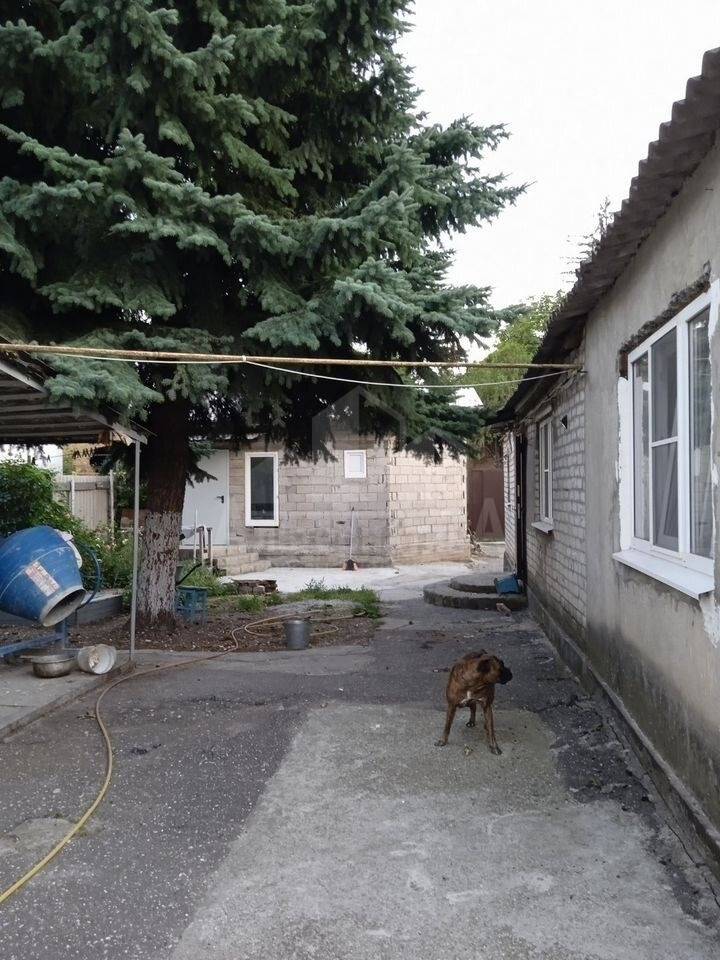 photo_5310159383251586415_y