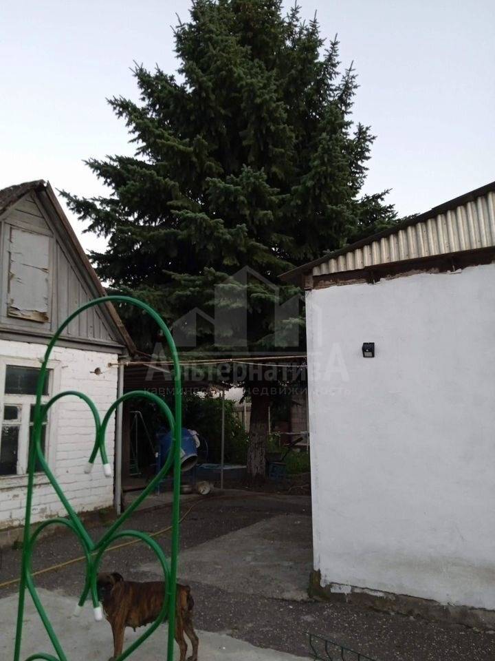 photo_5310159383251586414_y