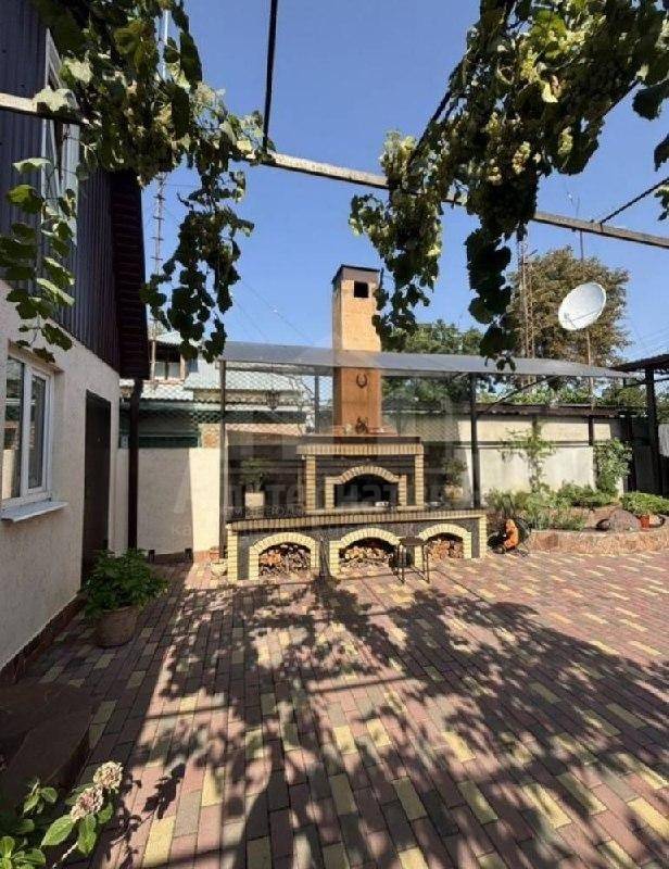 photo_5334584883738776104_x