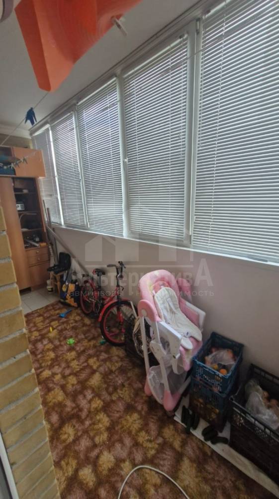 whatsapp image 2025-12-13 at 12.37.31