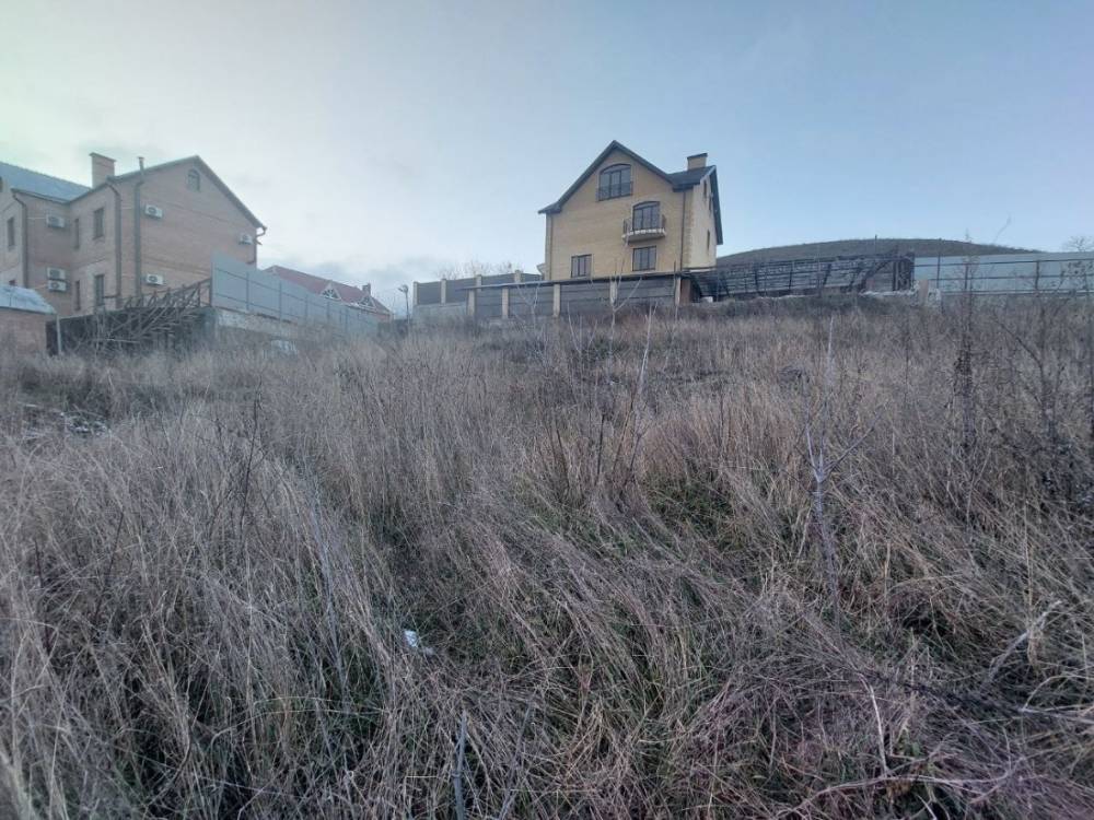 photo_5377542764381278698_y