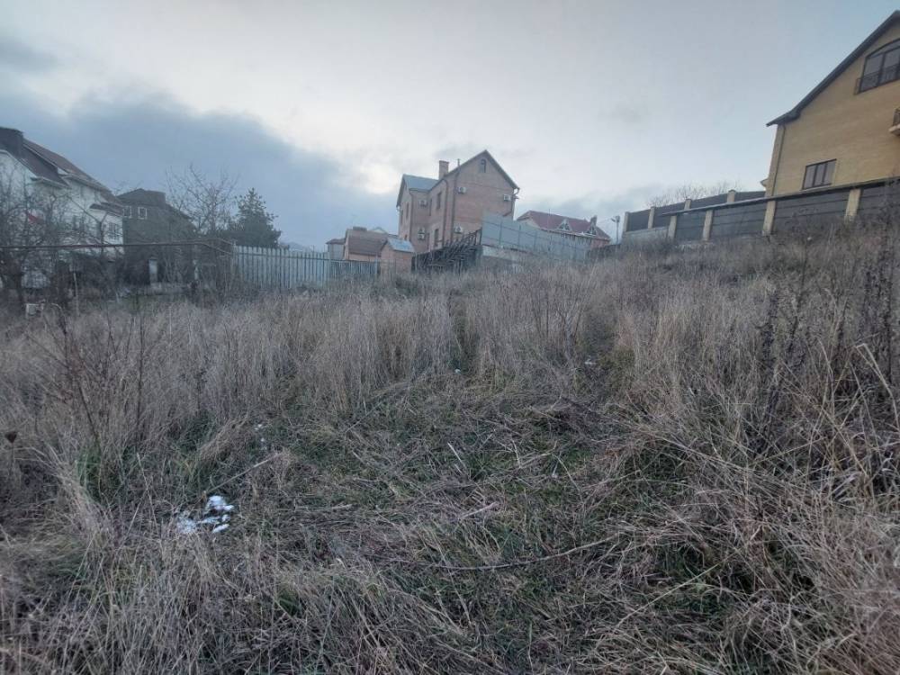 photo_5377542764381278697_y