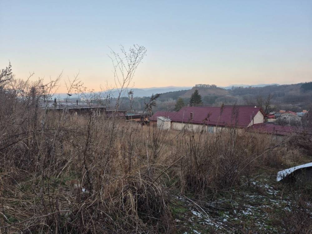 photo_5377557006492830721_y