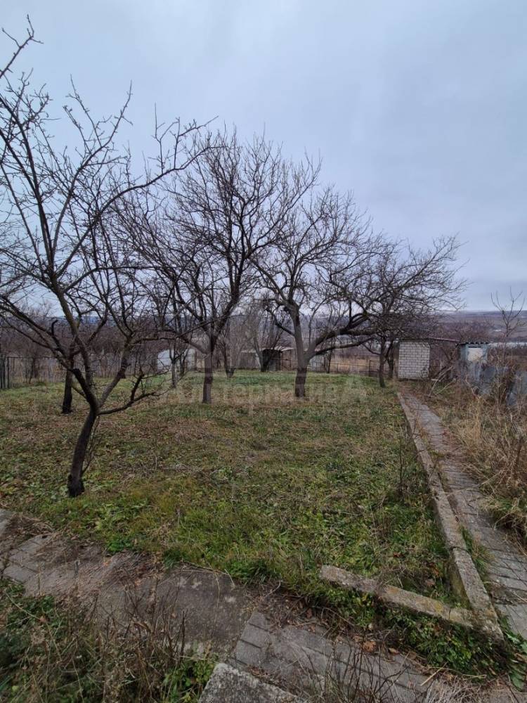 whatsapp image 2025-12-19 at 18.09.07 (2)