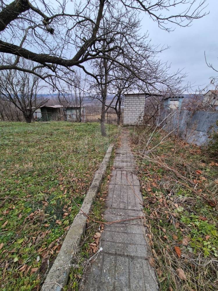 whatsapp image 2025-12-19 at 18.09.09 (1)