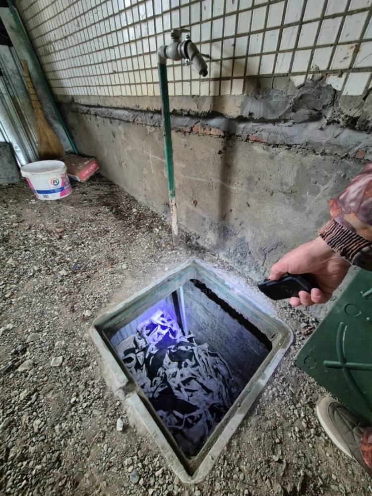 whatsapp image 2025-12-19 at 18.09.11