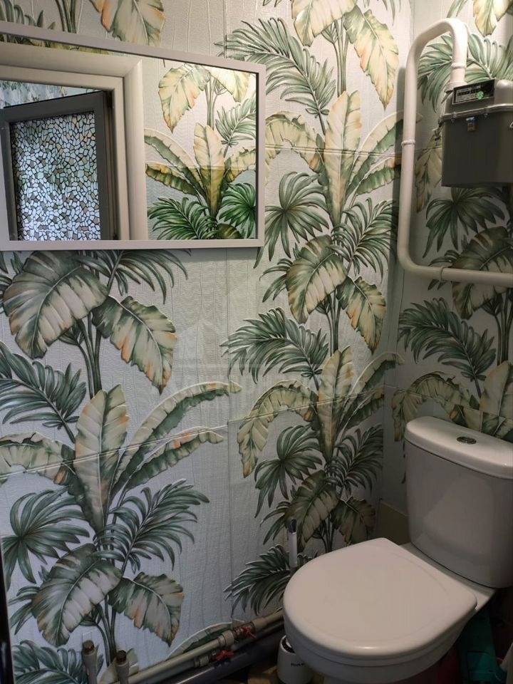 photo_5346135528266468948_y