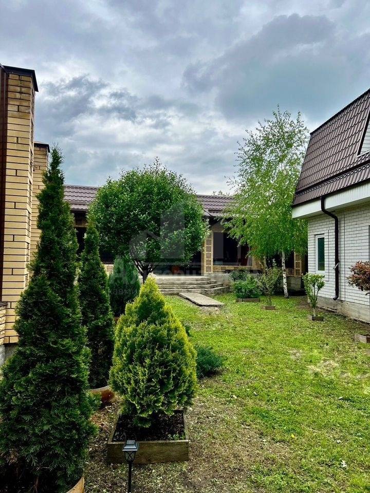 photo_5346135528266469242_y