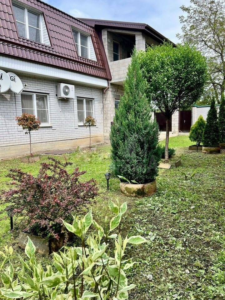 photo_5346135528266469243_y