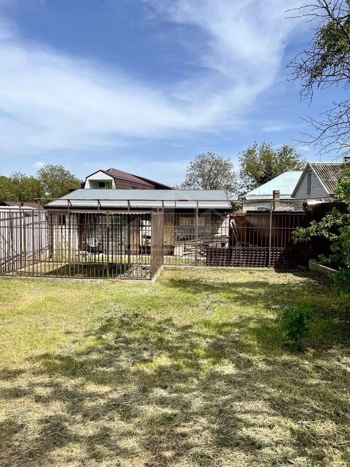 photo_5346135528266469231_y