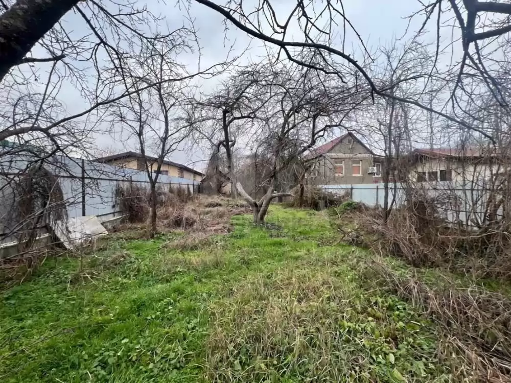 img_3008
