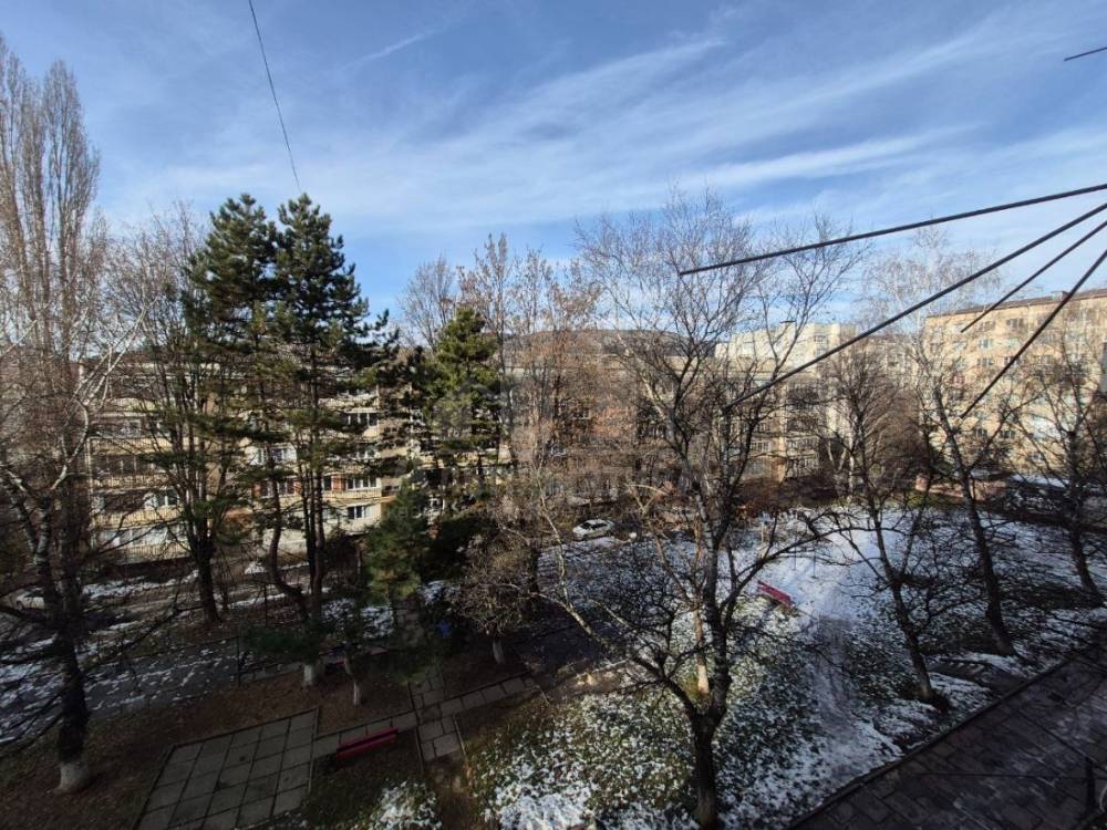 photo_5409259959695904414_y