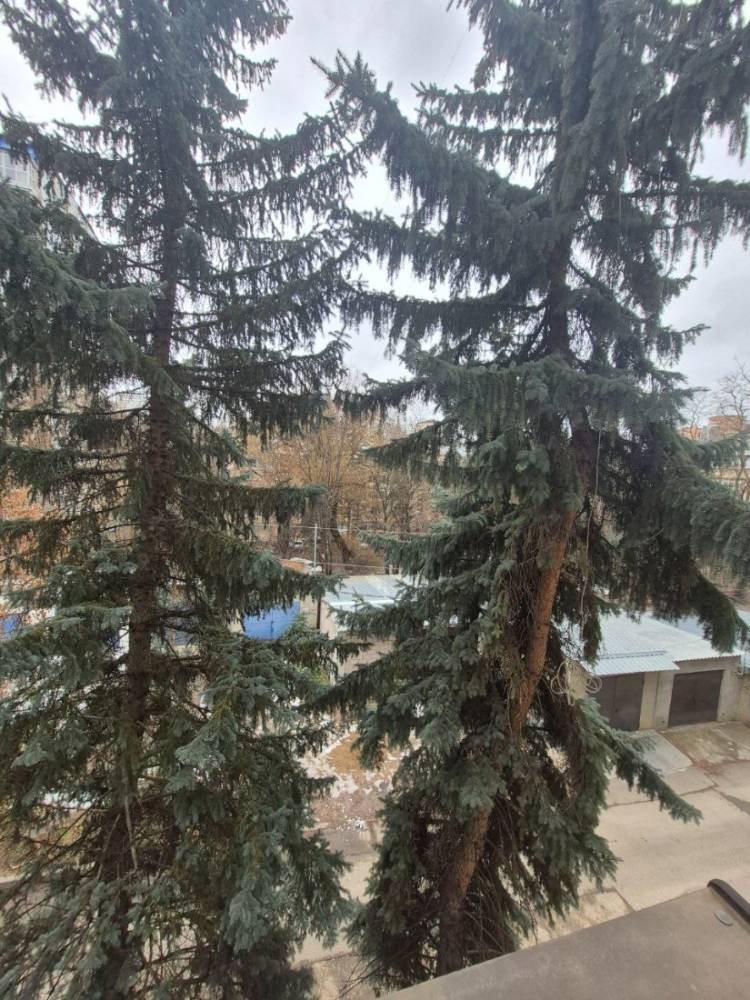 photo_5415954585349722503_y