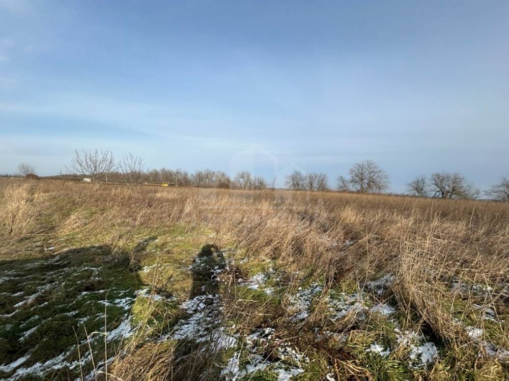 photo_5422610560592842941_y