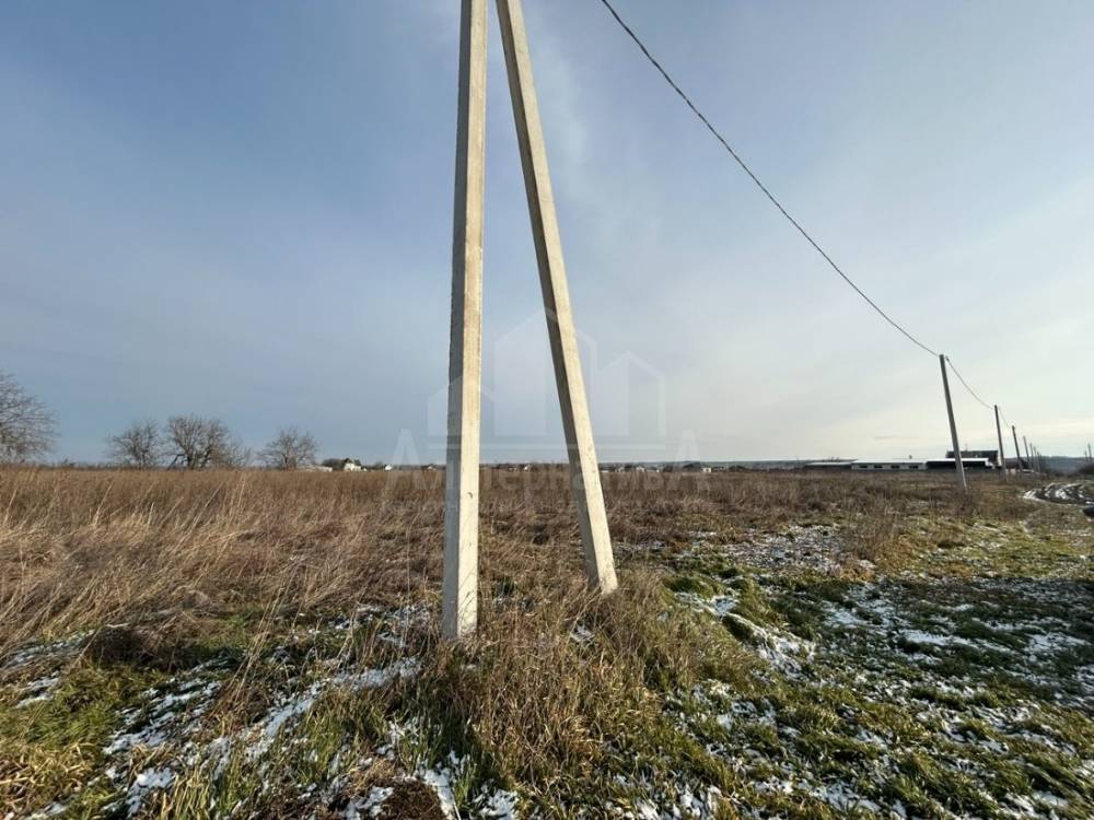 photo_5422610560592842940_y