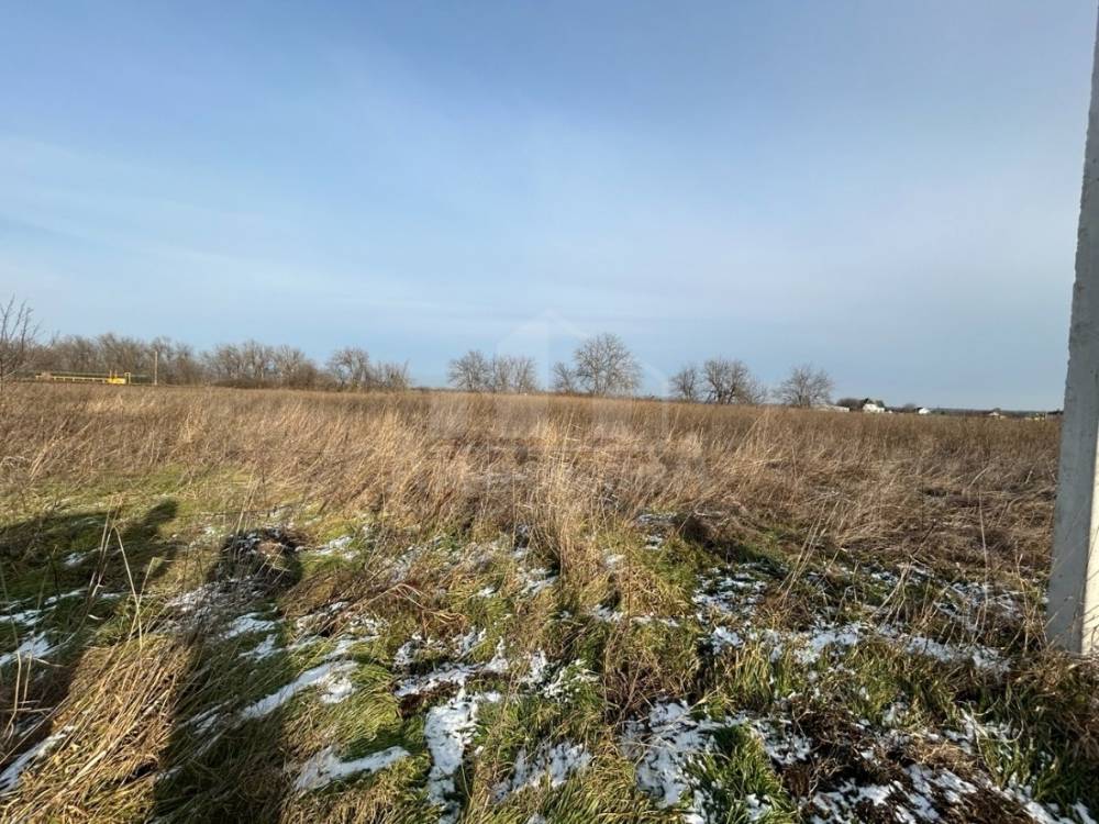 photo_5422610560592842942_y