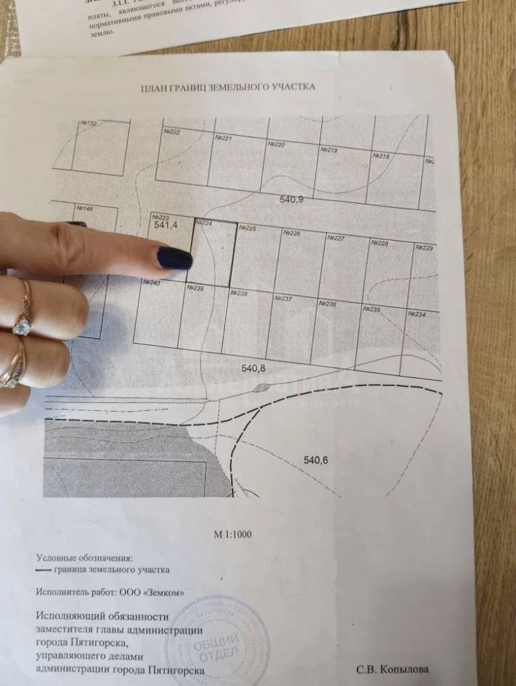 photo_5420434932024151601_y