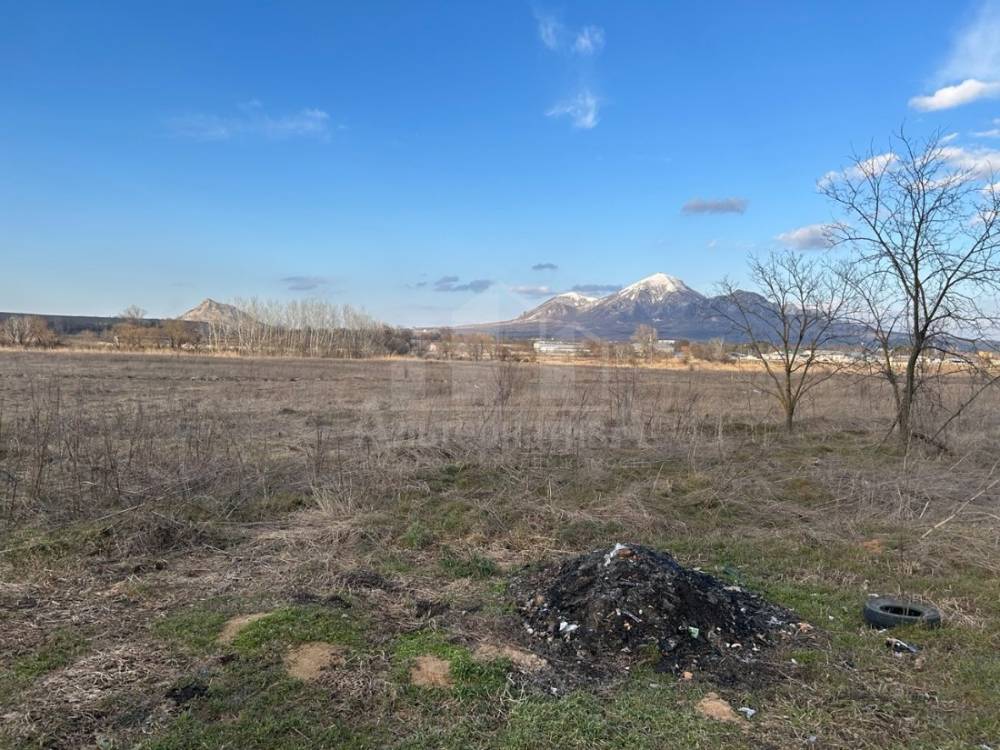 photo_5298793890469056923_y