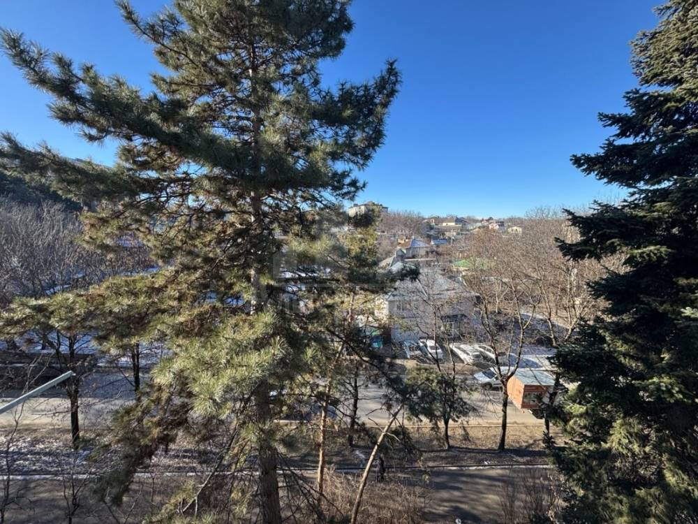 7197ffab-00d3-4254-b937-c58513e763f8