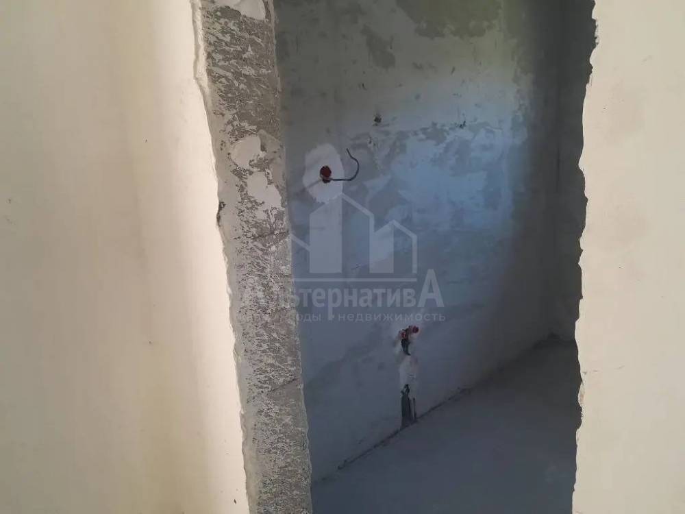 photo_5427265910004715893_y