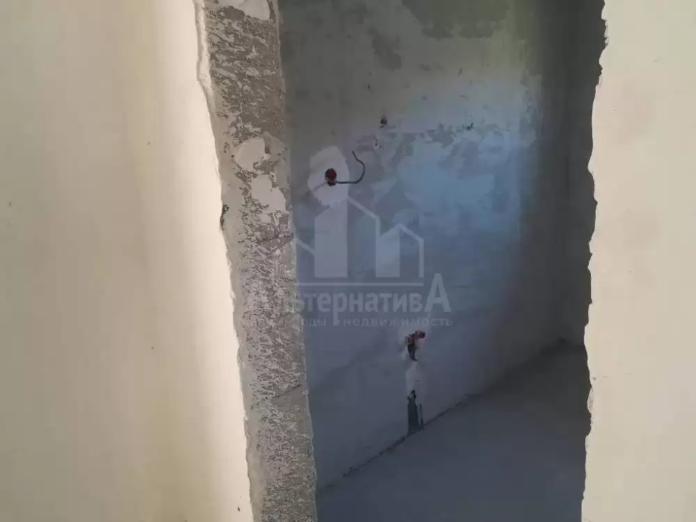 photo_5427265910004715893_y