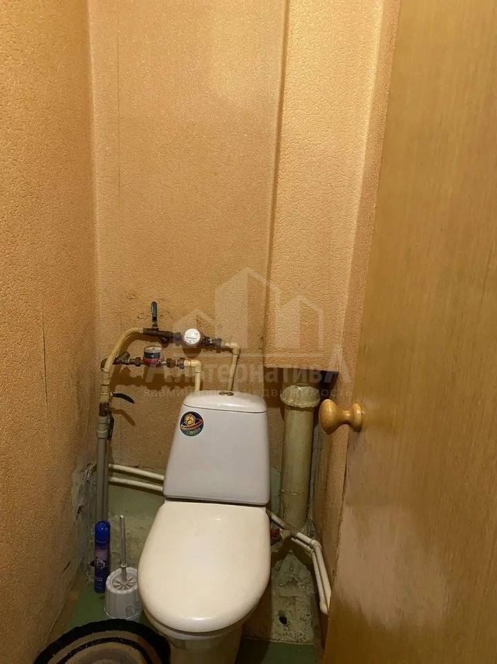 photo_5429522472937131528_y