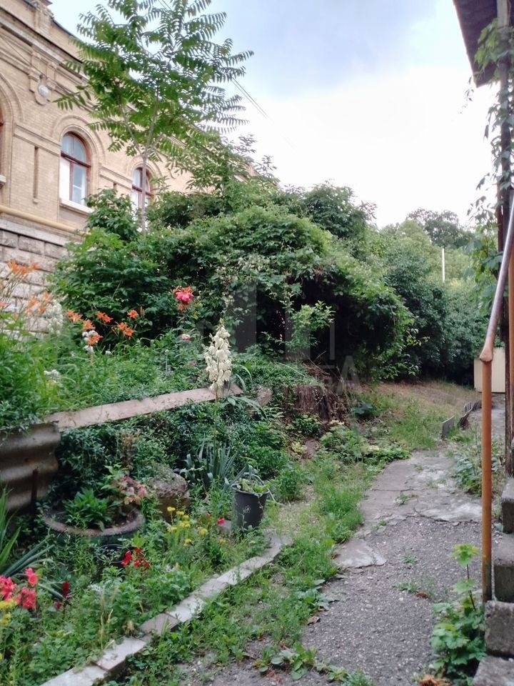 photo_5436038977707249731_y