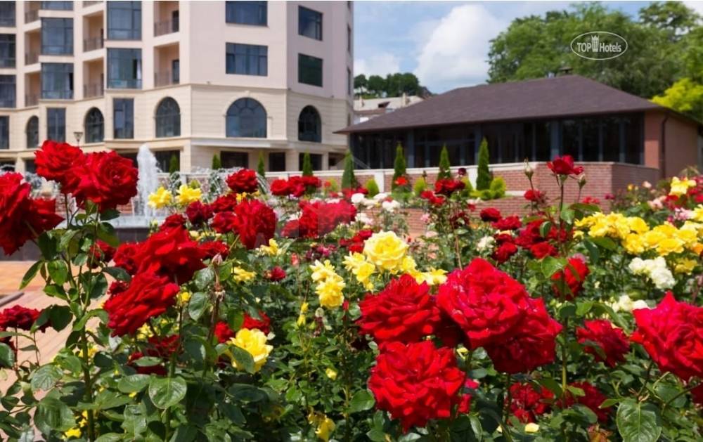 9ab62358-ec7f-455a-bd00-65e97e30c18d