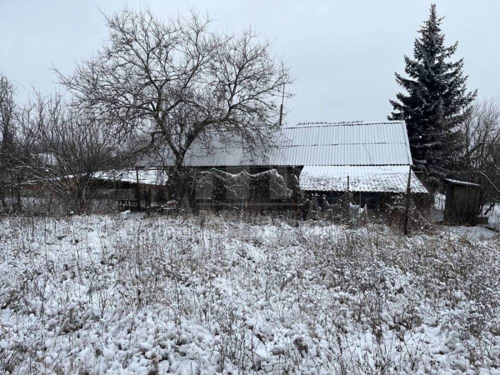 photo_5438138112908399141_y