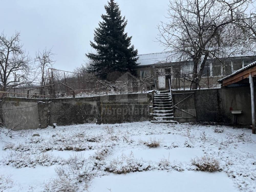 photo_5438138112908399139_y