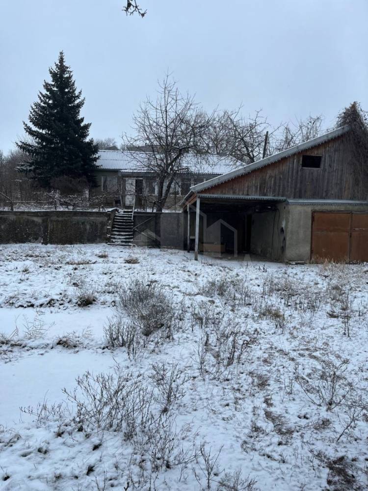 photo_5438138112908399135_y